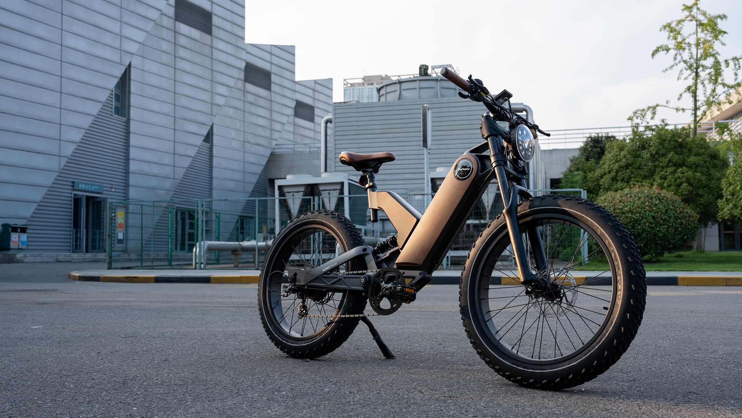 750W Electric Bike | Eahora P5