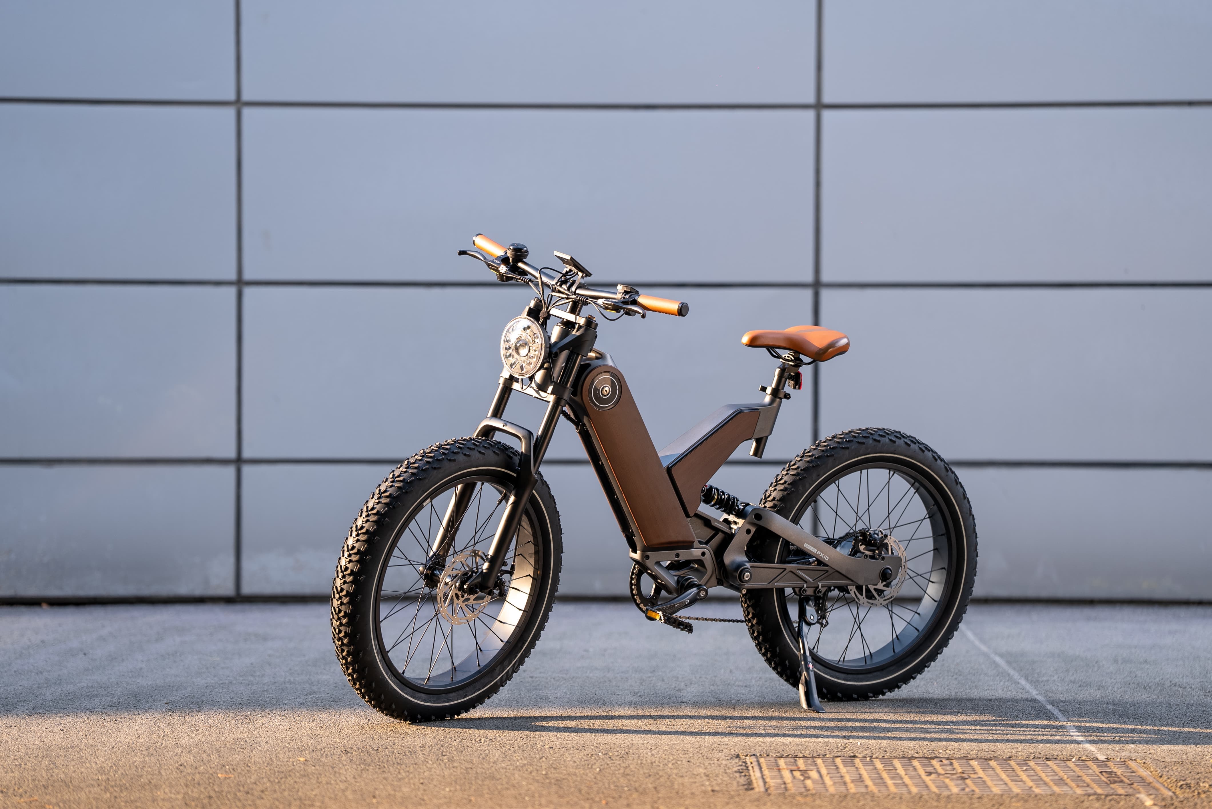 750W Electric Bike | Eahora P5