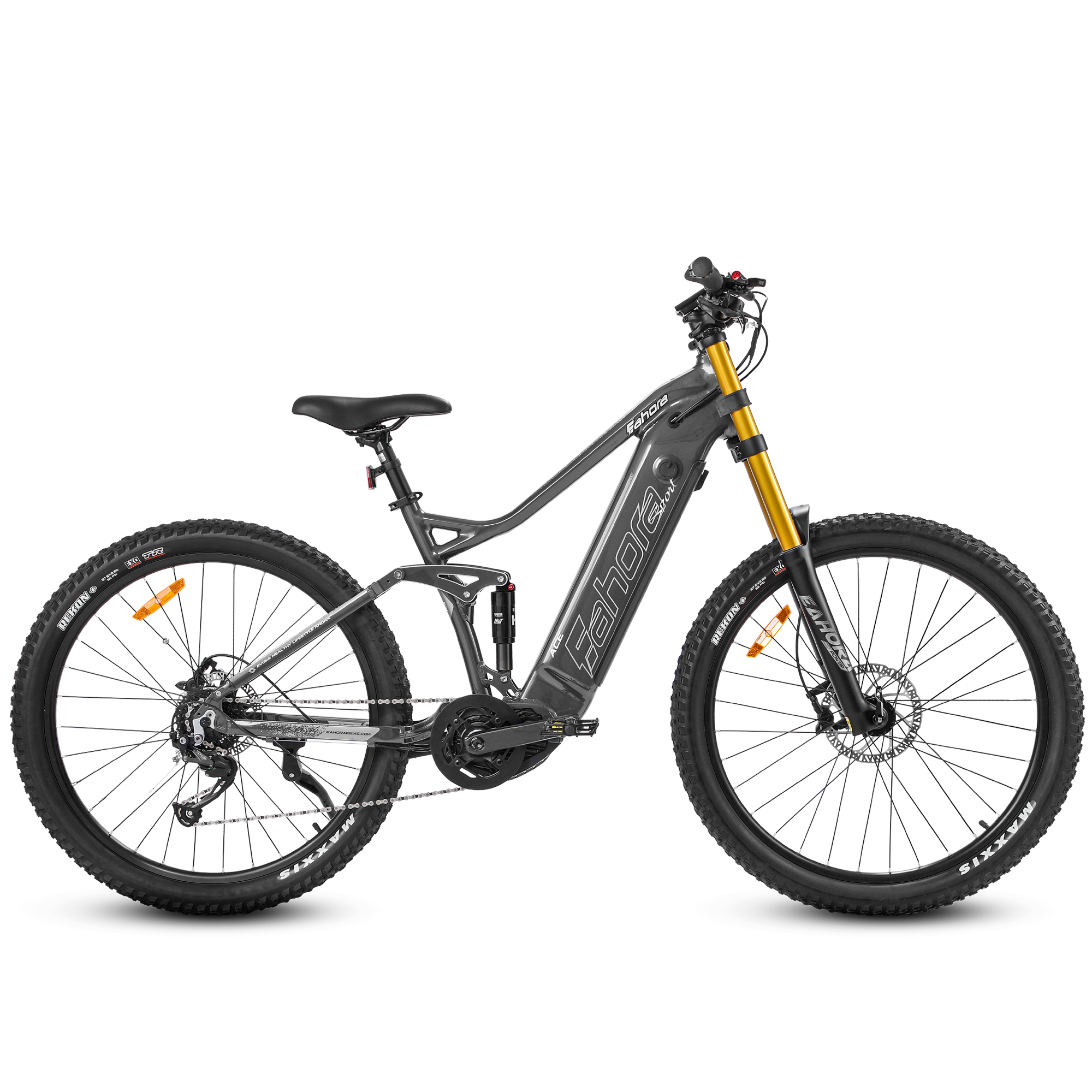 500W Mountain Electric Bike Mid Dirve eBike Eahora ACE